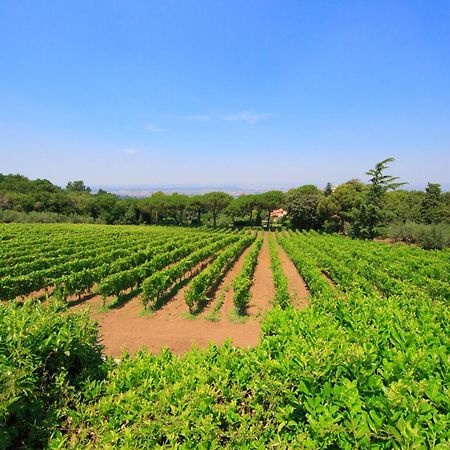 Frascati Country House 格鲁塔佛力塔 外观 照片