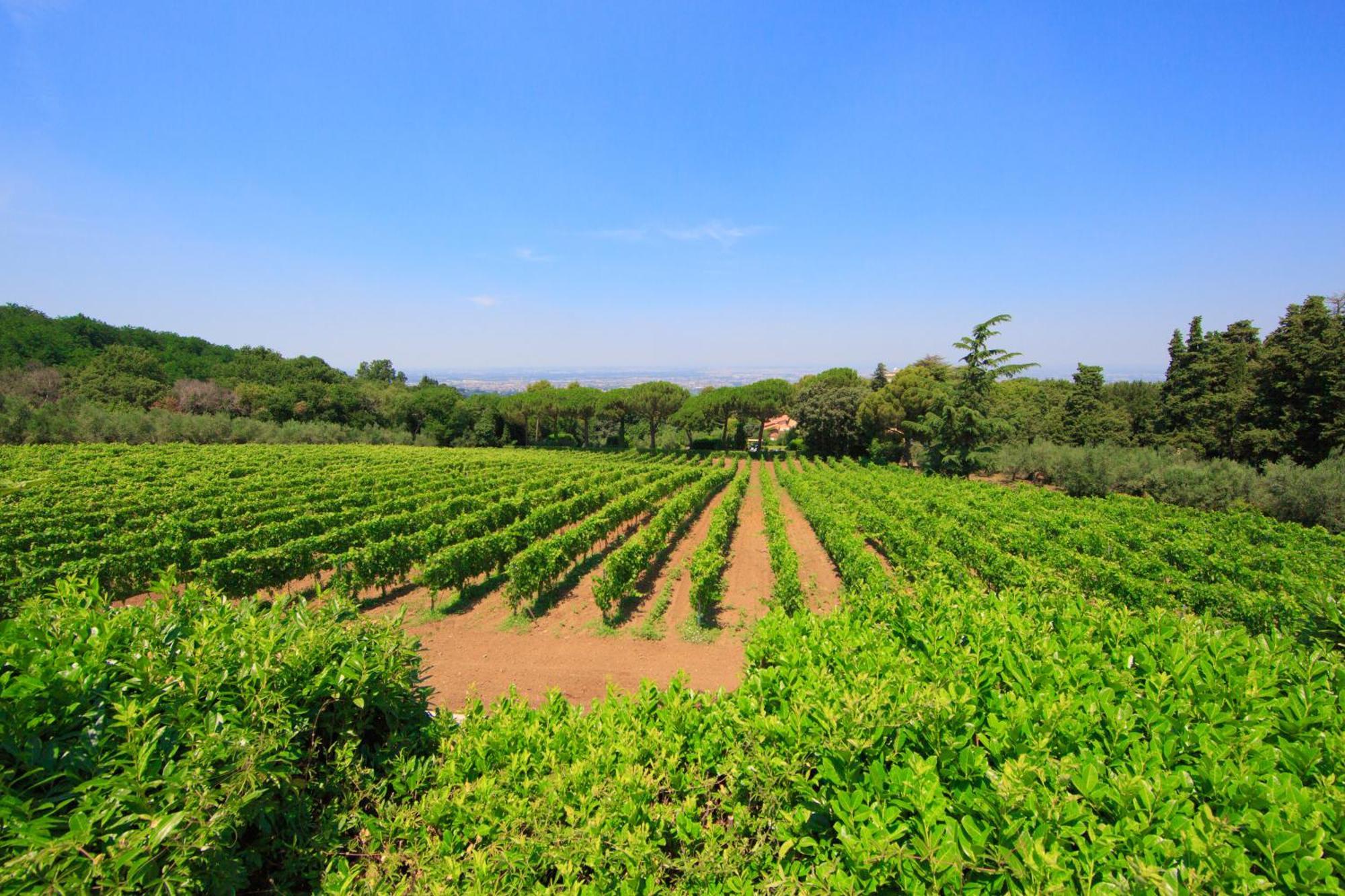 Frascati Country House 格鲁塔佛力塔 外观 照片