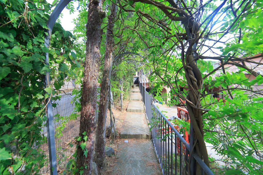 Frascati Country House 格鲁塔佛力塔 外观 照片